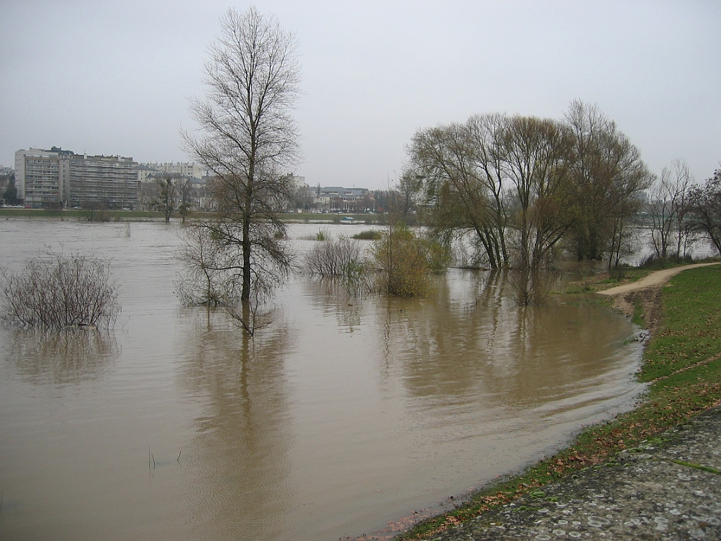 Loire en crue 05.jpg